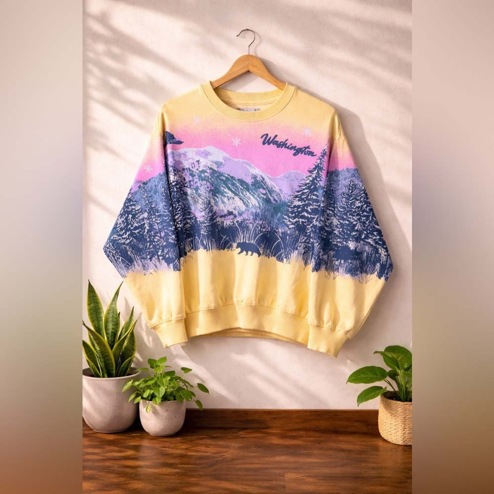 Urban Outfitters Wilder Washington Alpine Retro 90s Inspired Sweatshirt XS